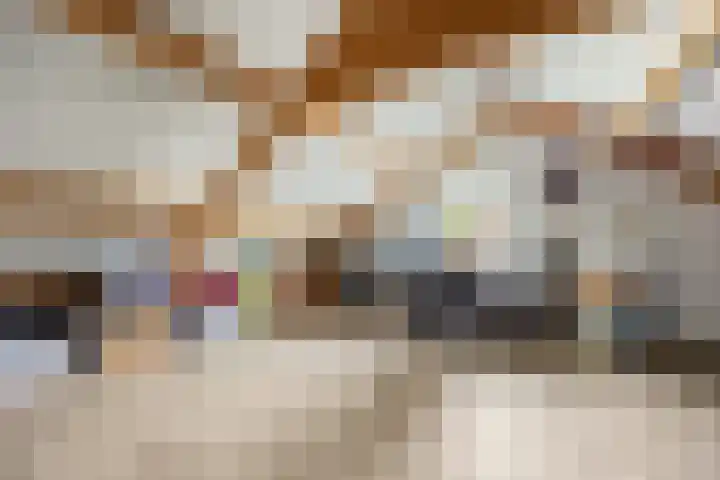 Rogberg 58 Puiflijk thumbnail 30