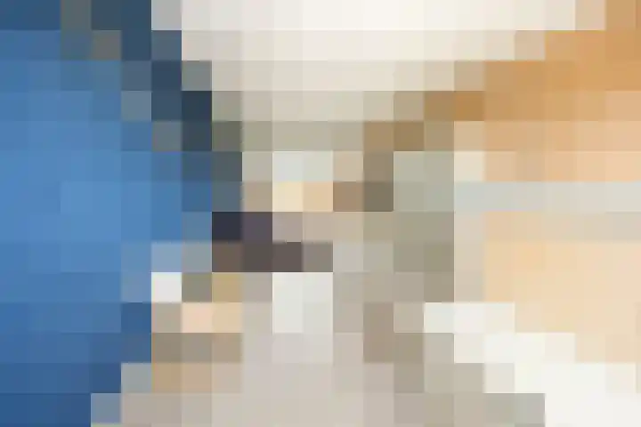 Rogberg 58 Puiflijk thumbnail 33