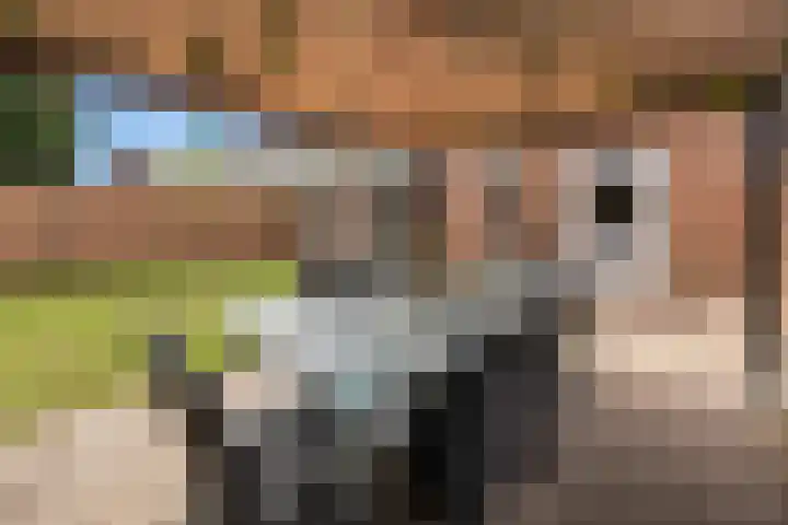 Rogberg 58 Puiflijk thumbnail 35
