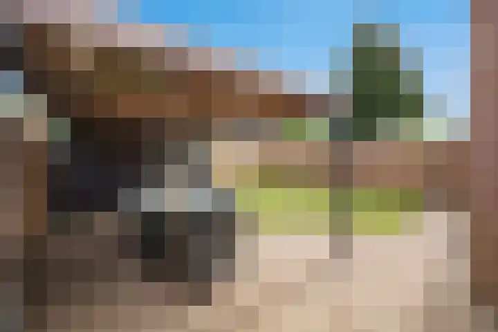 Rogberg 58 Puiflijk thumbnail 36