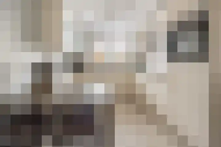 Rogberg 58 Puiflijk thumbnail 4