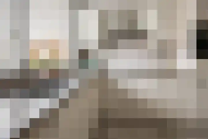 Rogberg 58 Puiflijk thumbnail 5
