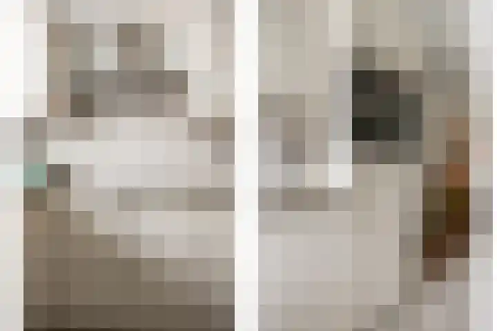 Rogberg 58 Puiflijk thumbnail 7