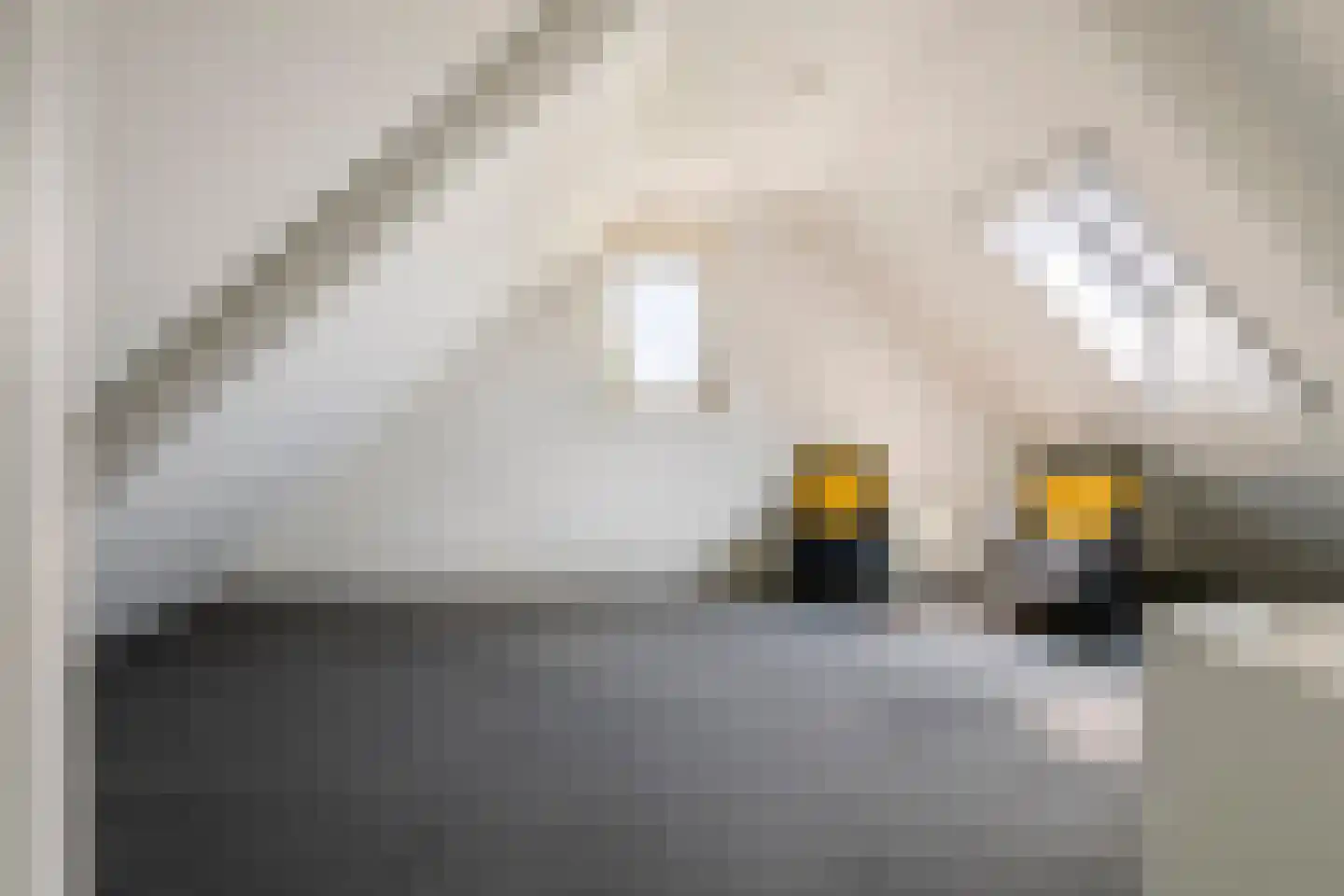 Rogberg 67 Puiflijk thumbnail 32