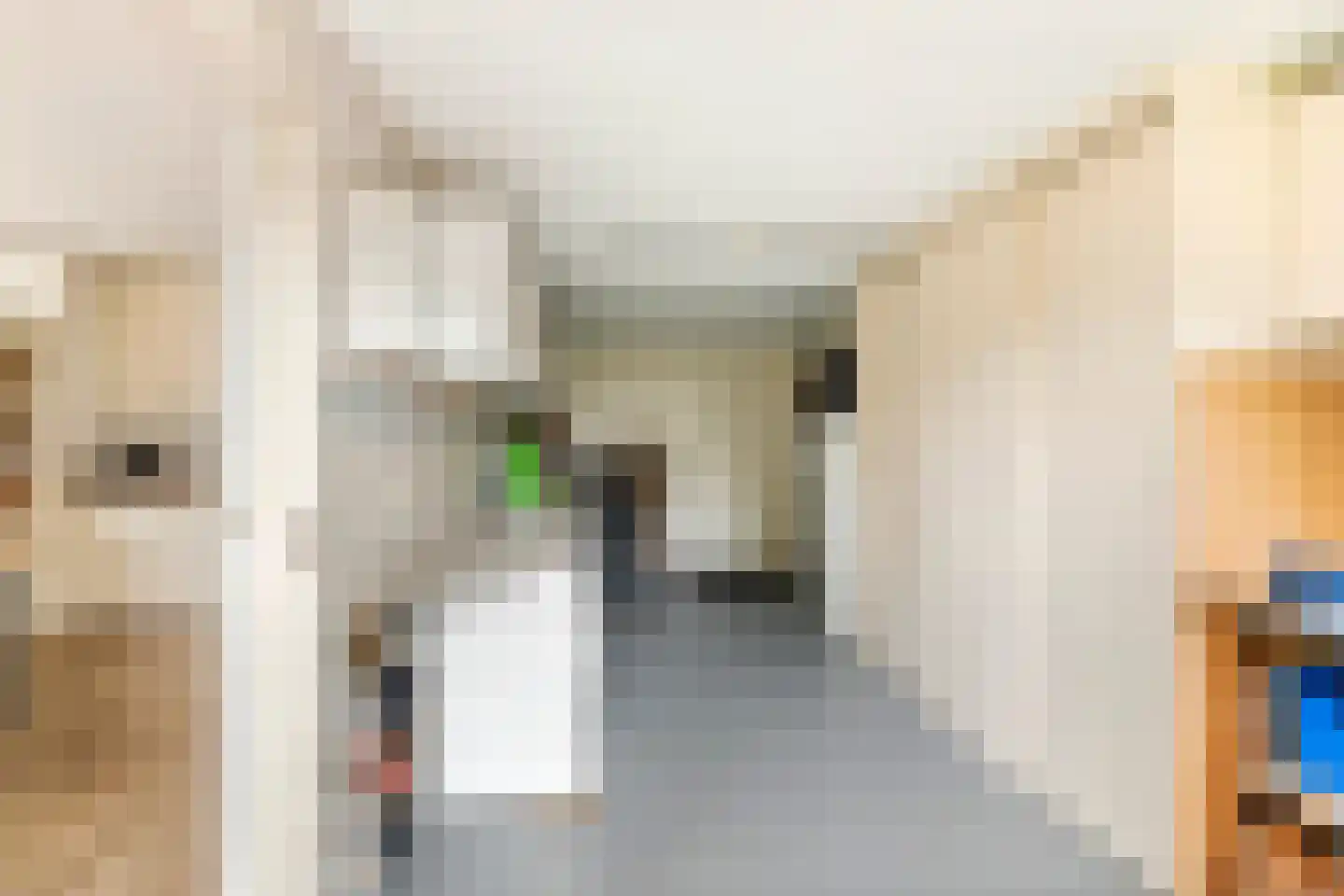 Rogberg 67 Puiflijk thumbnail 33