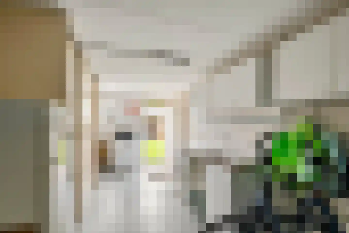 Rogberg 67 Puiflijk thumbnail 34