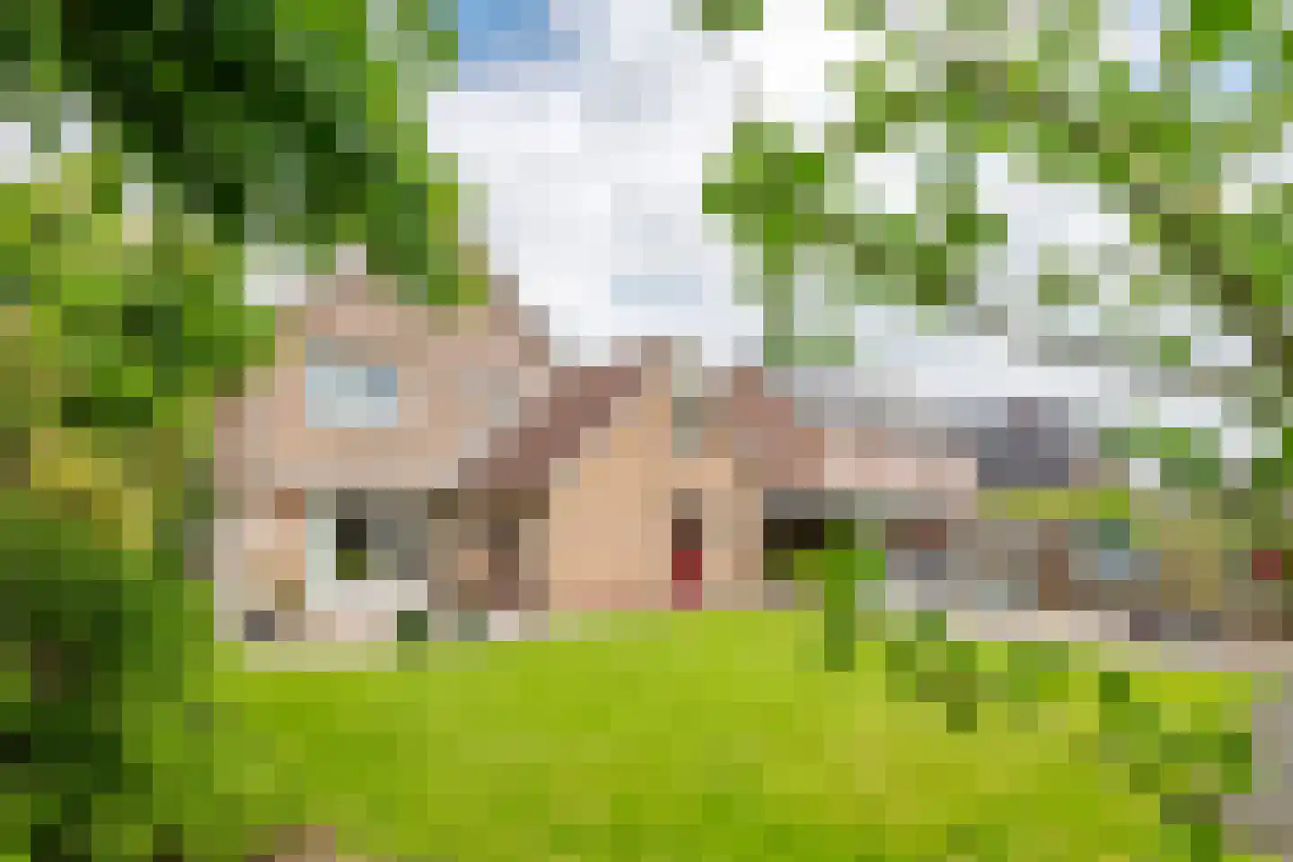 Rogberg 67 Puiflijk thumbnail 37