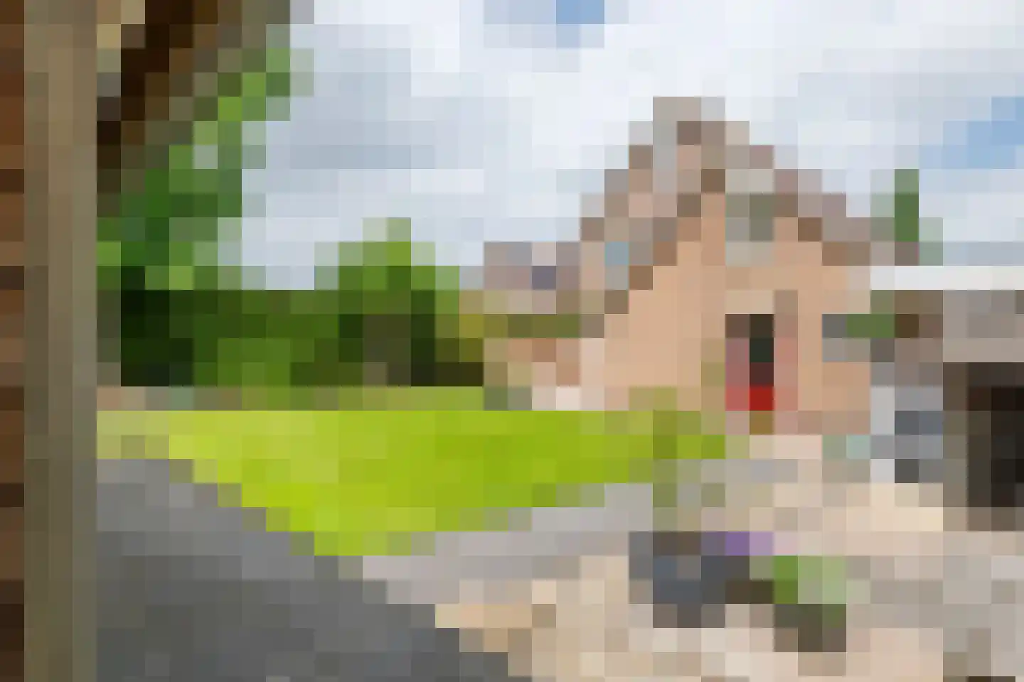 Rogberg 67 Puiflijk thumbnail 38
