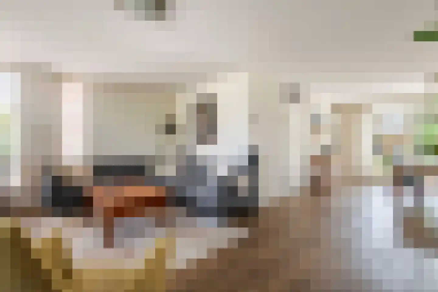 Rogberg 67 Puiflijk thumbnail 4