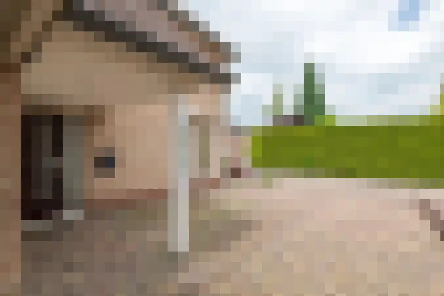 Rogberg 67 Puiflijk thumbnail 42