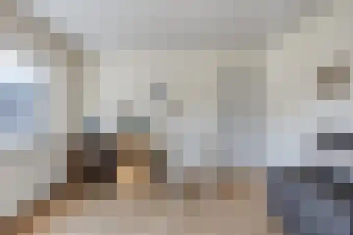 Rogbloempad 6 Milsbeek thumbnail 26