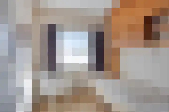 Rogbloempad 6 Milsbeek thumbnail 27