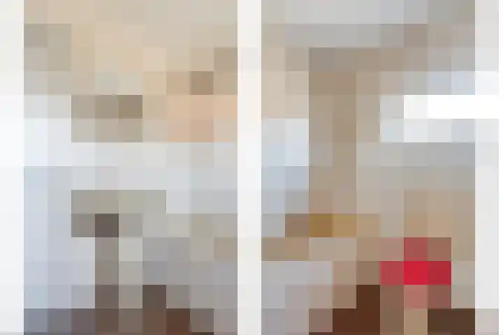 Rogbloempad 6 Milsbeek thumbnail 29