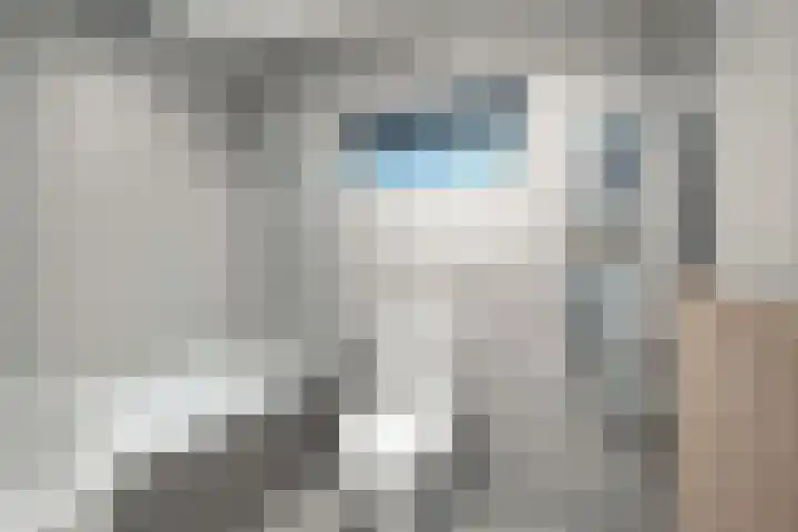 Rogbloempad 6 Milsbeek thumbnail 30