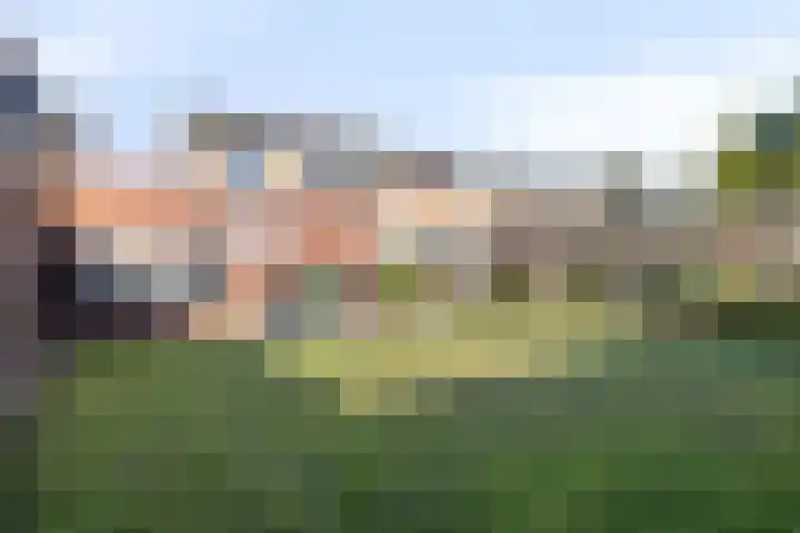 Rogbloempad 6 Milsbeek thumbnail 33