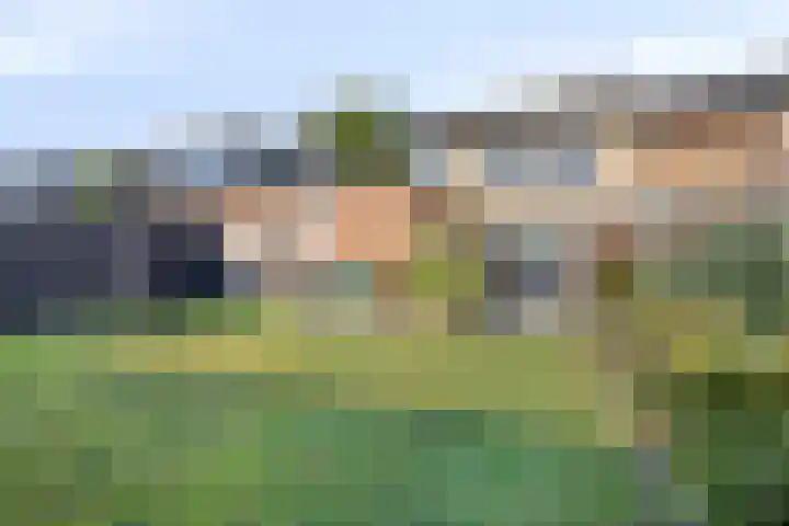 Rogbloempad 6 Milsbeek thumbnail 34
