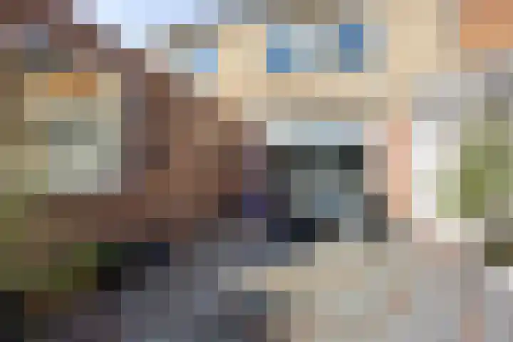 Rogbloempad 6 Milsbeek thumbnail 36