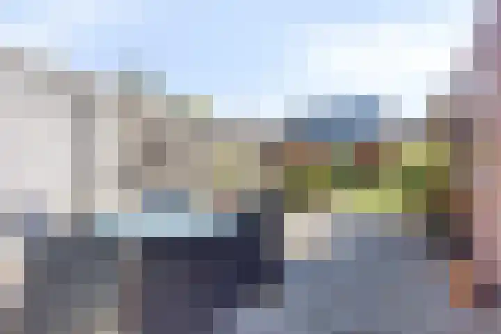 Rogbloempad 6 Milsbeek thumbnail 37