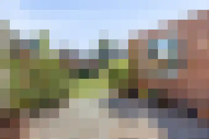 Rogbloempad 6 Milsbeek thumbnail 38