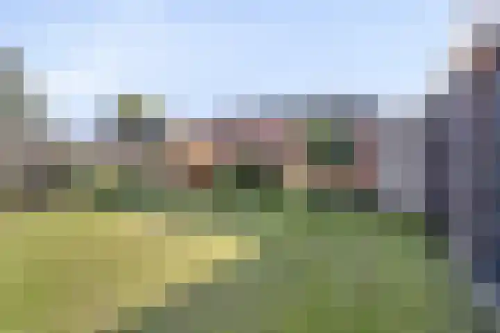 Rogbloempad 6 Milsbeek thumbnail 39