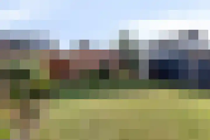 Rogbloempad 6 Milsbeek thumbnail 40