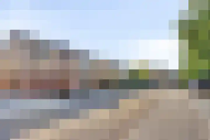 Rogbloempad 6 Milsbeek thumbnail 41