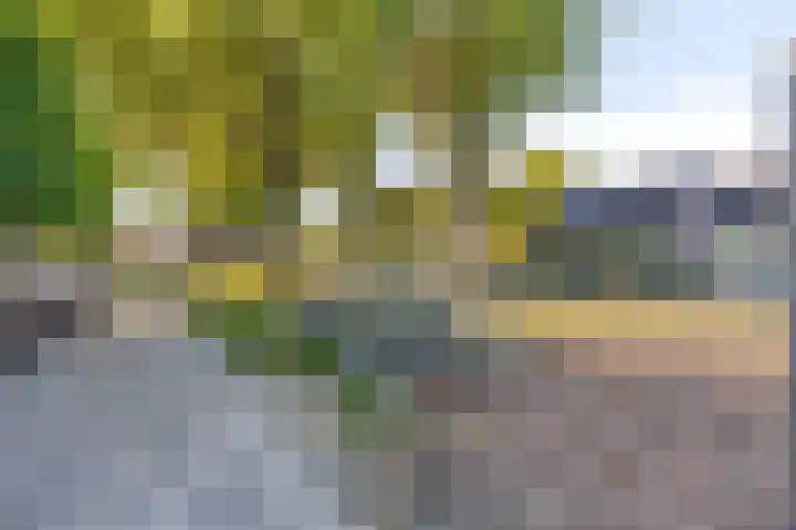 Rogbloempad 6 Milsbeek thumbnail 45