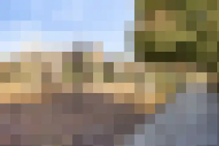 Rogbloempad 6 Milsbeek thumbnail 46