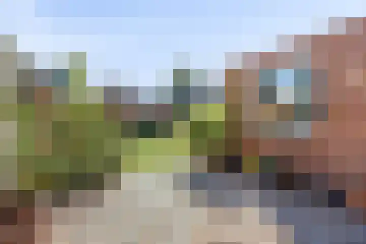 Rogbloempad 6 Milsbeek thumbnail 6