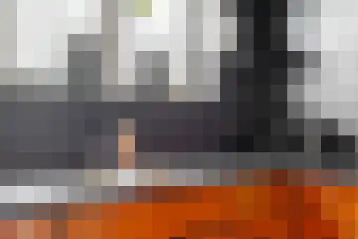 Rogbloempad 8 Milsbeek thumbnail 10