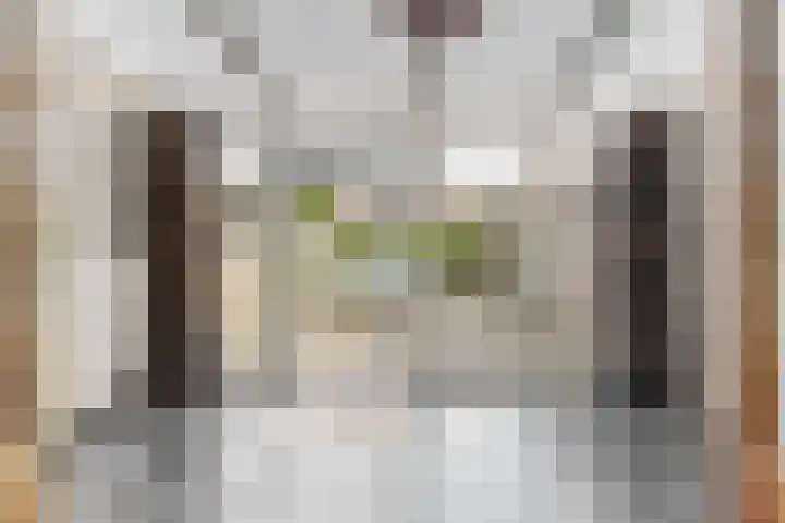 Rogbloempad 8 Milsbeek thumbnail 14