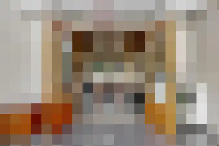 Rogbloempad 8 Milsbeek thumbnail 15