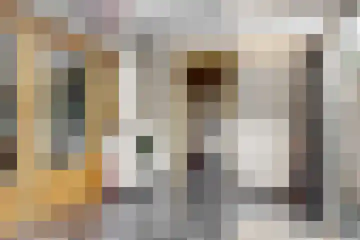 Rogbloempad 8 Milsbeek thumbnail 17