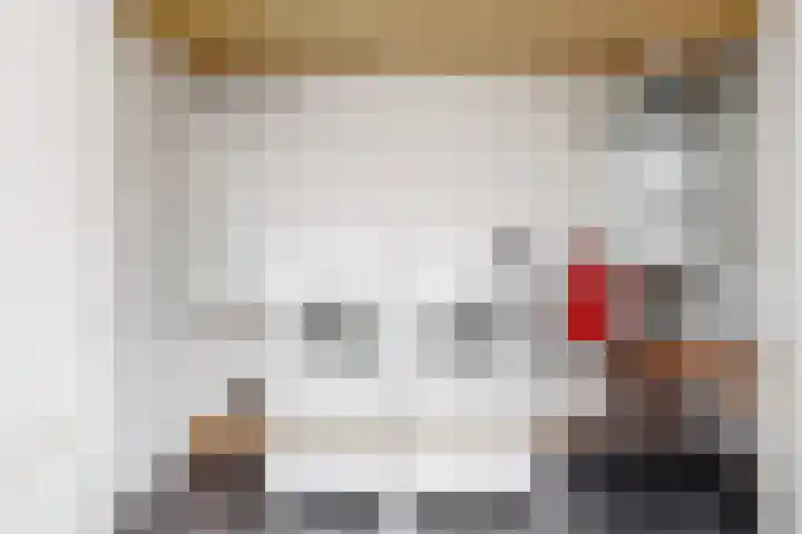 Rogbloempad 8 Milsbeek thumbnail 18