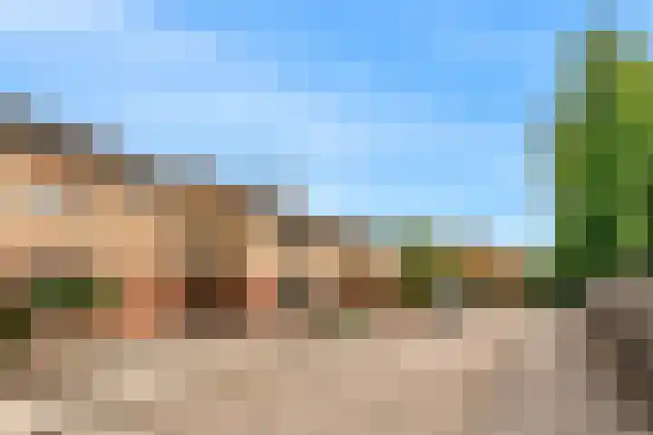 Rogbloempad 8 Milsbeek thumbnail 33