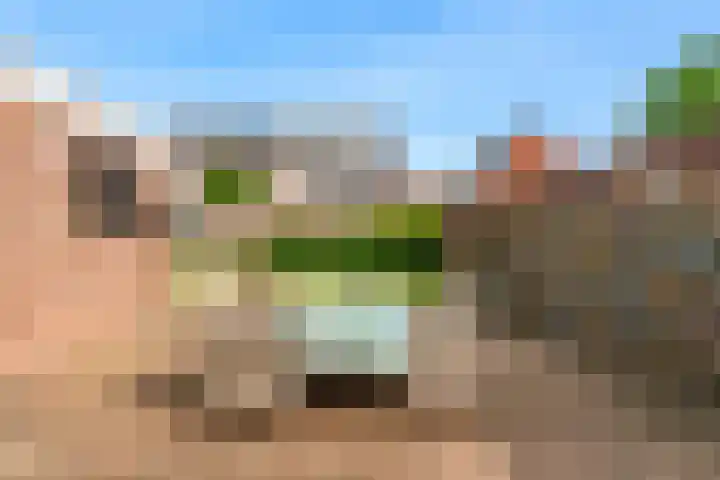 Rogbloempad 8 Milsbeek thumbnail 34