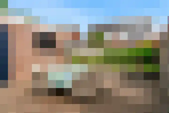 Rogbloempad 8 Milsbeek thumbnail 35
