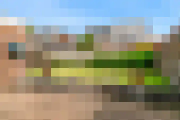 Rogbloempad 8 Milsbeek thumbnail 36