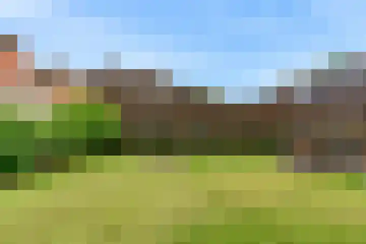Rogbloempad 8 Milsbeek thumbnail 38