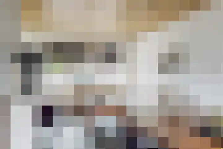 Rogbloempad 8 Milsbeek thumbnail 4