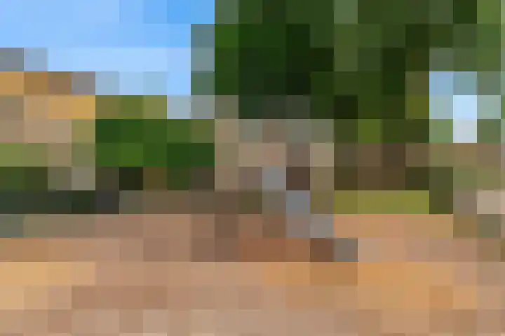Rogbloempad 8 Milsbeek thumbnail 44