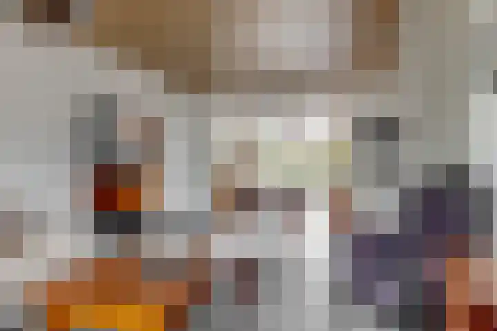Rogbloempad 8 Milsbeek thumbnail 6