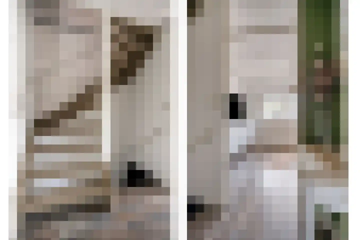 Rogge 14 Mierlo thumbnail 13
