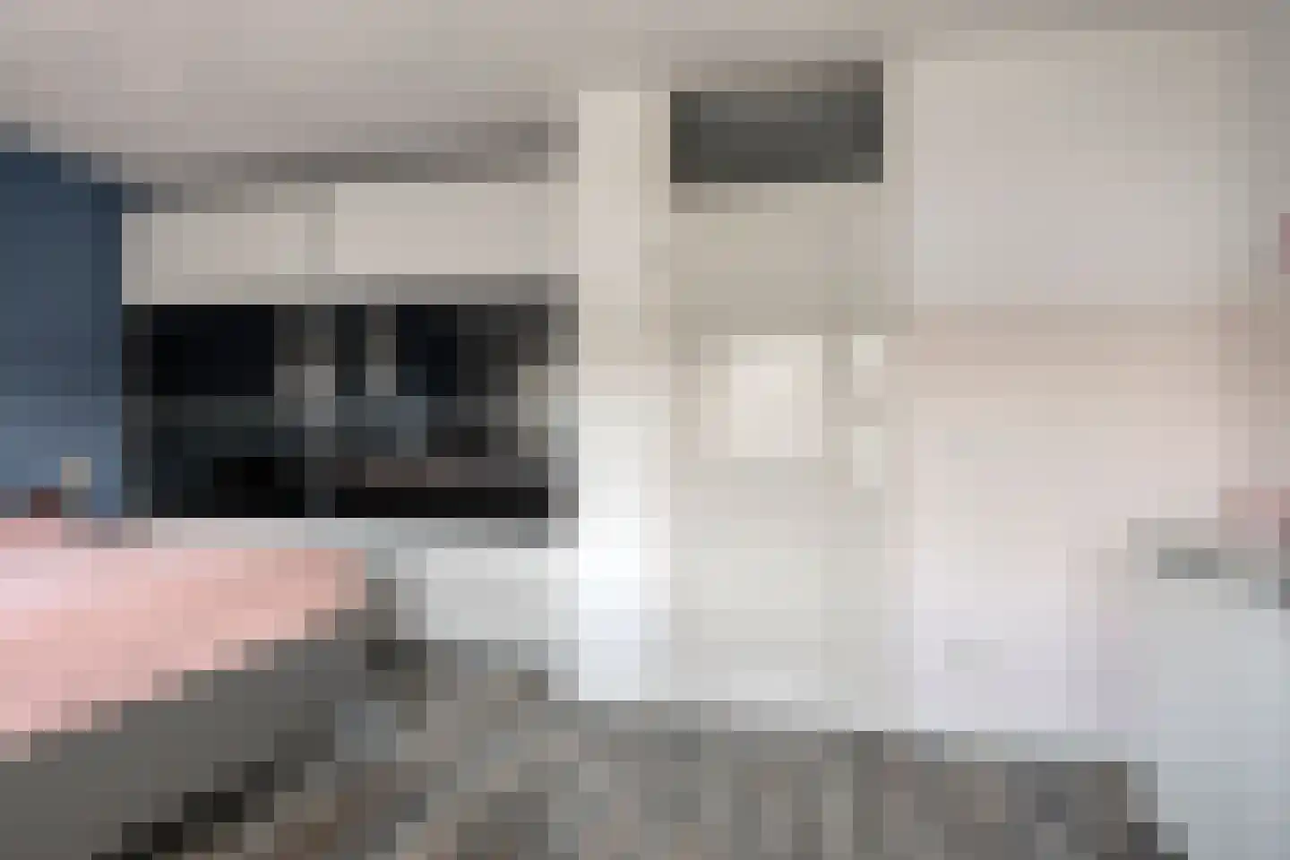 Rogge 14 Mierlo thumbnail 16