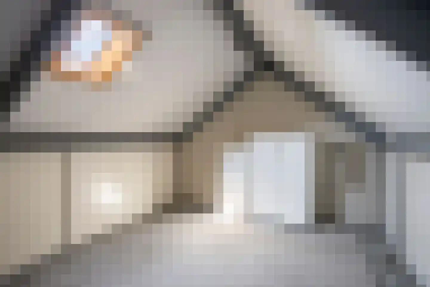 Rogge 14 Mierlo thumbnail 21