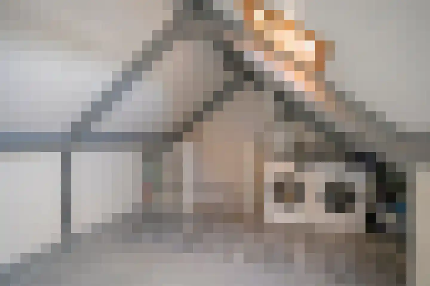Rogge 14 Mierlo thumbnail 22
