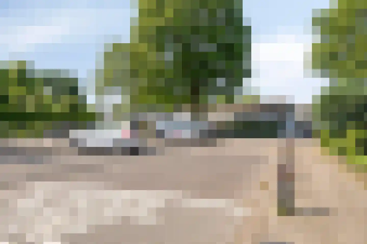 Rogge 14 Mierlo thumbnail 30