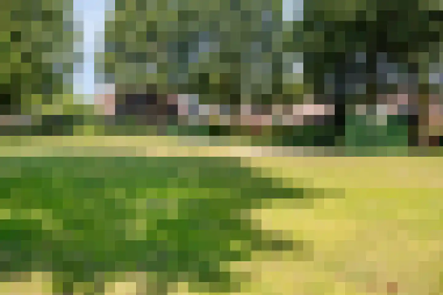Rogge 14 Mierlo thumbnail 31
