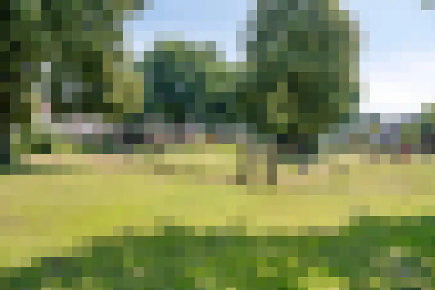 Rogge 14 Mierlo thumbnail 32