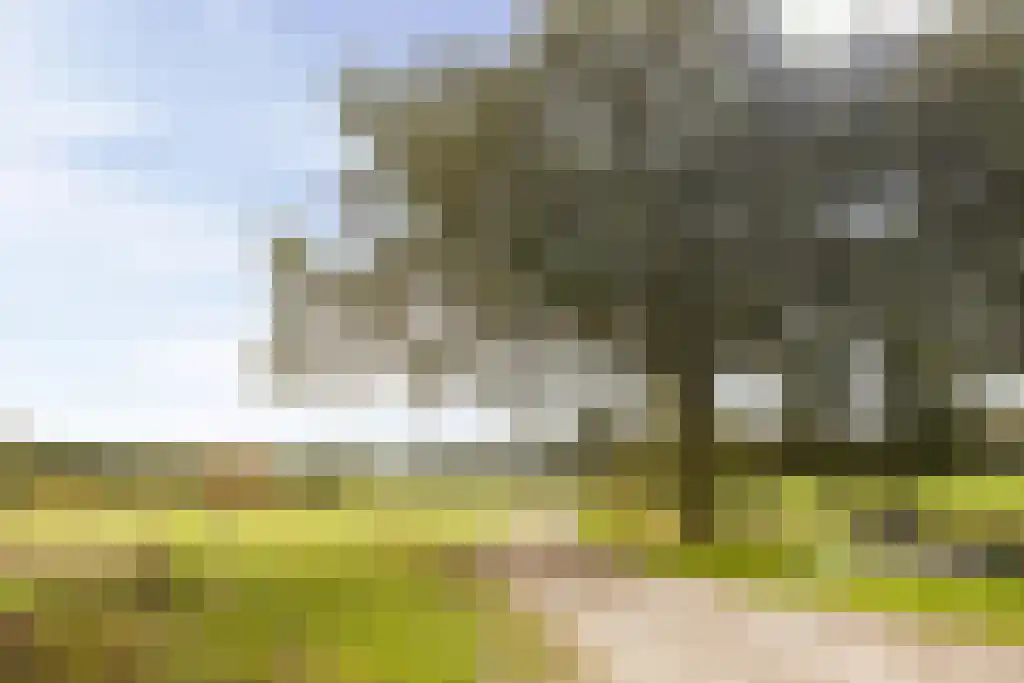 Rogge 14 Mierlo thumbnail 33